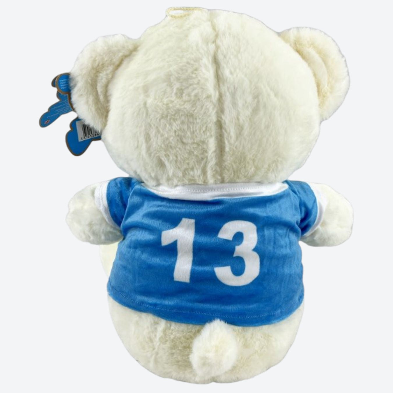 oml24_pel_ours_35_2.jpg