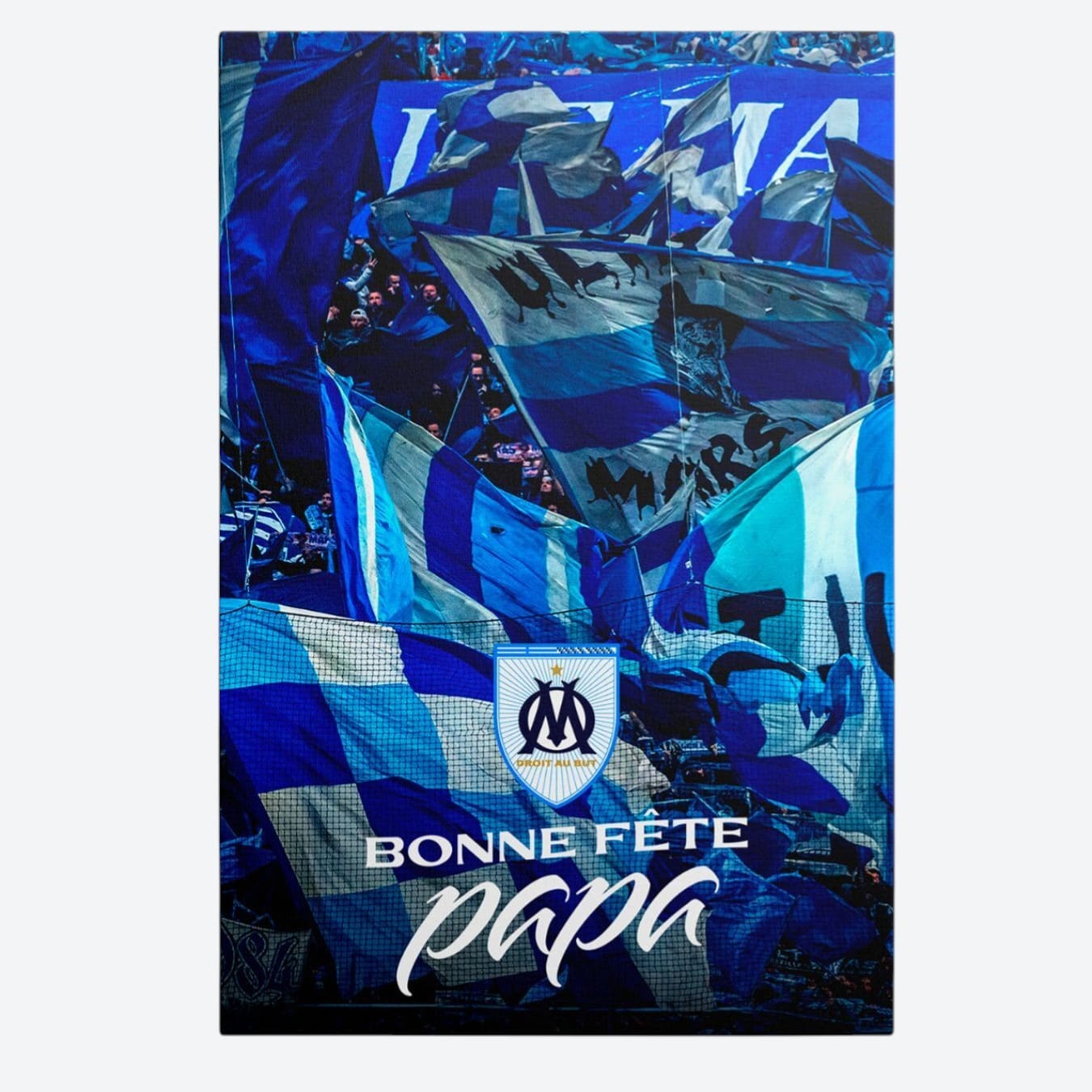 oml24_tro_fp5_p_1.jpg